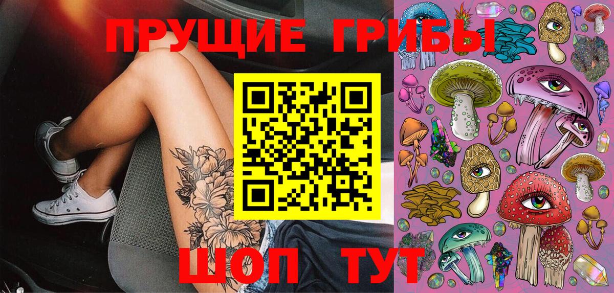 продажа наркотиков  Псилоцибиновые грибы мицелий  Вход с VPN  Сорочинск  Псилоцибиновые грибы мицелий 